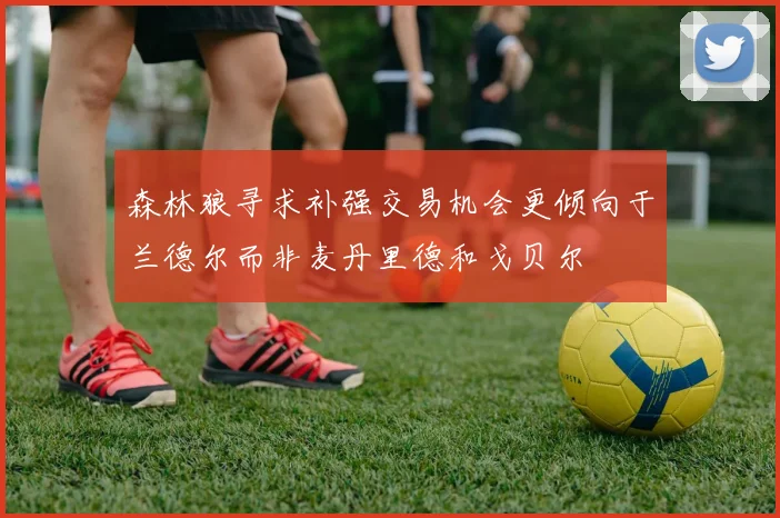 森林狼寻求补强交易机会更倾向于兰德尔而非麦丹里德和戈贝尔