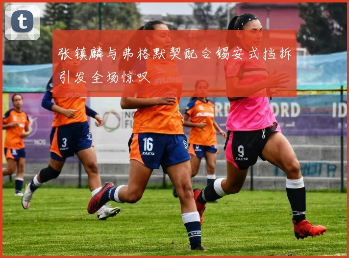 张镇麟与弗格默契配合锡安式挡拆引发全场惊叹
