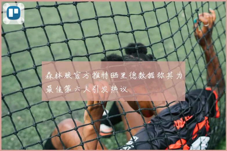 森林狼官方推特晒里德数据称其为最佳第六人引发热议