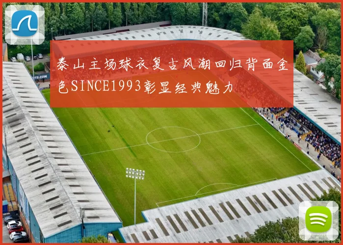 泰山主场球衣复古风潮回归背面金色SINCE1993彰显经典魅力