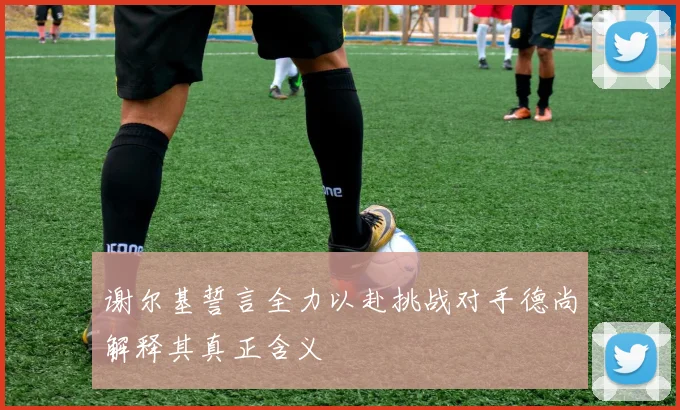 谢尔基誓言全力以赴挑战对手德尚解释其真正含义
