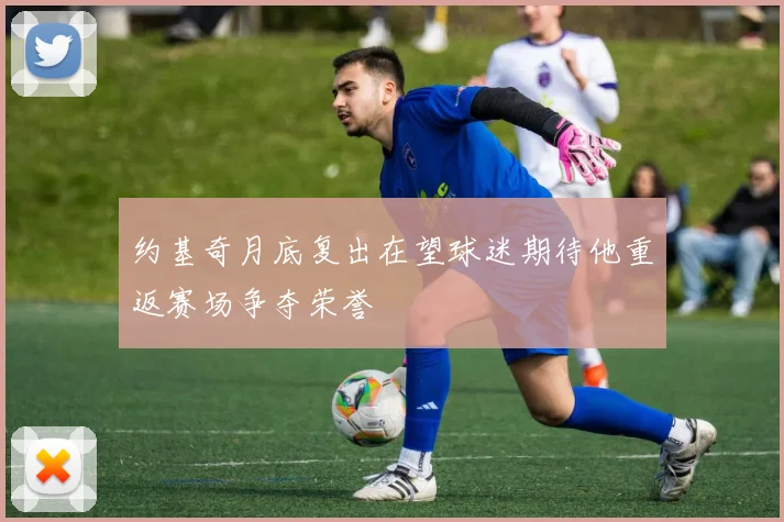 约基奇月底复出在望球迷期待他重返赛场争夺荣誉